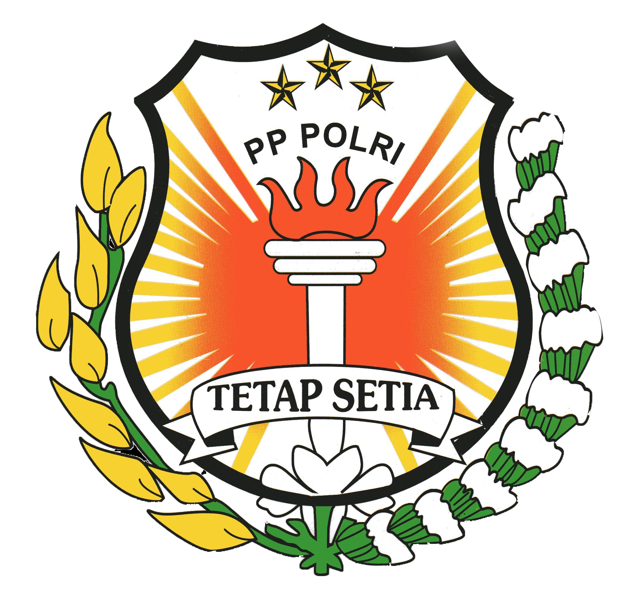 logo pp